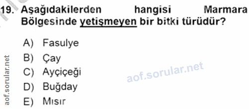 19. soru: Aşağıdakilerden hangisi Marmara Bölgesinde yetişmeyen bir bitki türüdür? A) Fasulye B) Çay C) Ayçiçeği D) Buğday E) M…