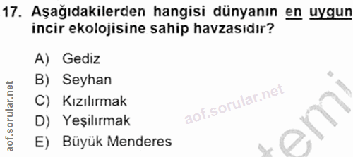 17. soru: Aşağıdakilerden hangisi dünyanın en uygun incir ekolojisine sahip havzasıdır? A) Gediz B) Seyhan C) Kızılırmak D) Yeş…