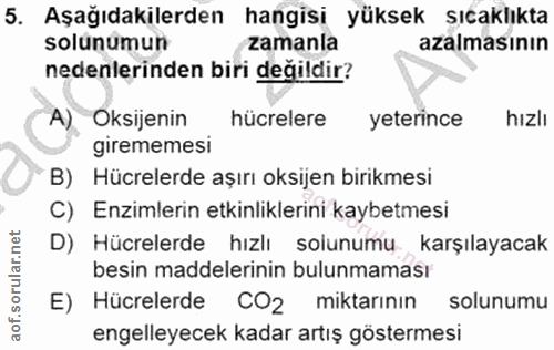 5. soru: Aşağıdakilerden hangisi yüksek şıcaklıkta solunumun zamanla azalmasının nedenlerinden biri değildir? A) Oksijenin hüc…