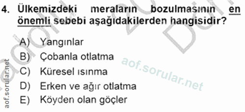 4. soru: Ülkemizdeki meraların bozulmasının en önemli sebebi aşağıdakilerden hangisidir? A) Yangınlar B)* Çobanla otlatma C) K…