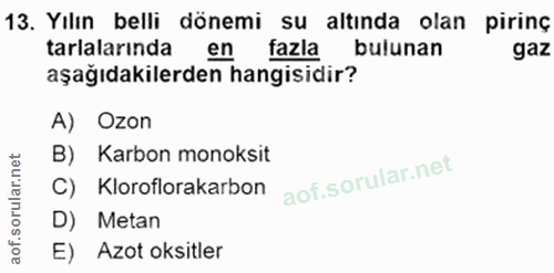 13. soru: Yılın belli dönemi su altında olan pirinç tarlalarında en fazla bulunan gaz aşağıdakilerden hangisidir? A) Ozon B) Ka…