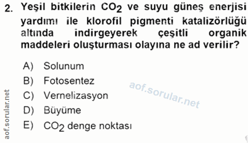 2. soru: Yeşil bitkilerin CO2 ve suyu güneş enerjisi yardımı ile klorofil pigmenti katalizörlüğü altında indirgeyerek çeşitli…