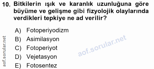 10. soru: Bitkilerin ışık ve karanlık uzunluğuna göre büyüme ve gelişme gibi fizyolojik olaylarında verdikleri tepkiye ne ad ve…
