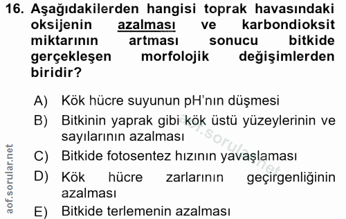 16. soru: Aşağıdakilerden hangisi toprak havasındaki oksijenin azalması ve karbondioksit miktarının artması sonucu bitkide gerç…
