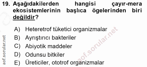 19. soru: Aşağıdakilerden hangisi çayır-mera ekosistemlerinin başlıca ögelerinden biri değildir? A) Heteretrof tüketici organiz…