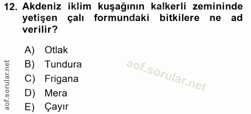 12. soru: Akdeniz iklim kuşağının kalkerli zemininde yetişen çalı formundaki bitkilere ne ad verilir? A) Otlak B) Tundura C) Fr…