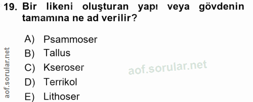 19. soru: Bir likeni oluşturan yapı veya gövdenin tamamına ne ad verilir? A) Psammoser B) Tallus C) Kseroser D) Terrikol E) Lit…