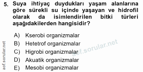5. soru: Suya ihtiyaç duydukları yaşam alanlarına göre sürekli su içinde yaşayan ve hidrofil olarak da isimlendirilen bitki tü…