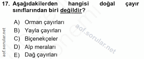 17. soru: Aşağıdakilerden hangisi doğal çayır sınıflarından biri değildir? A) Orman çayırları B) Yayla çayırları C) Biçenekçele…