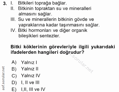 3. soru: I. Bitkileri toprağa bağlar. II. Bitkinin topraktan su ve mineralleri almasını sağlar. IlI. Su ve minerallerin bitkin…