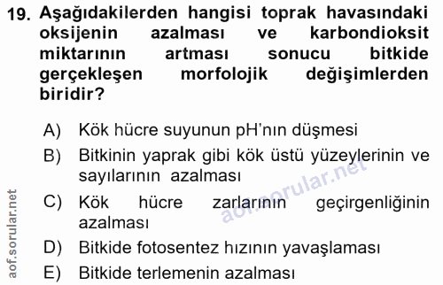 19. soru: Aşağıdakilerden hangisi toprak havasındaki oksijenin azalması ve karbondioksit miktarının artması sonucu bitkide gerç…