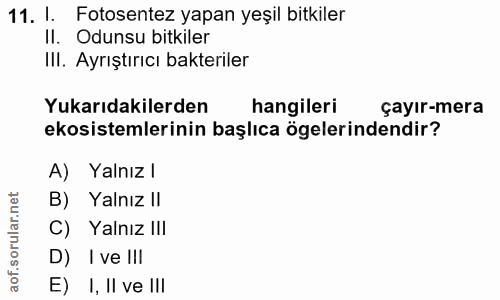 11. soru: I. Fotosentez yapan yeşil bitkiler II. Odunsu bitkiler Ill. Ayrıştırıcı bakteriler Yukarıdakilerden hangileri çayır-m…