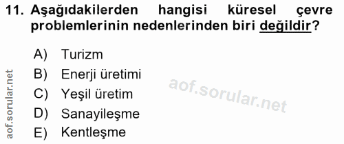 11. soru: Aşağıdakilerden hangisi küresel çevre problemlerinin nedenlerinden biri değildir? A) Turizm B) Enerji üretimi C) Yeşi…