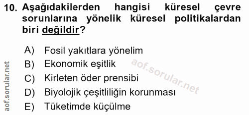 10. soru: Aşağıdakilerden hangisi küresel çevre sorunlarına yönelik küresel politikalardan biri değildir? A) Fosil yakıtlara yö…