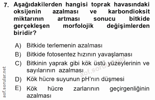 7. soru: Aşağıdakilerden hangisi toprak havasındaki oksijenin azalması ve karbondioksit miktarının artması sonucu bitkide gerç…