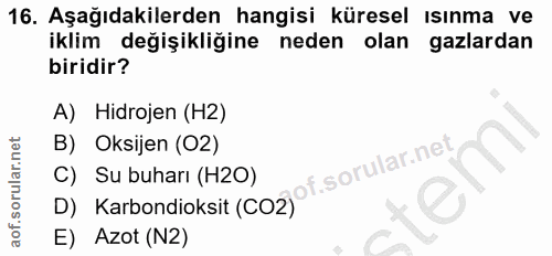 16. soru: Aşağıdakilerden hangisi küresel ısınma ve iklim değişikliğine neden olan gazlardan biridir? A) Hidrojen (H2) B) Oksij…