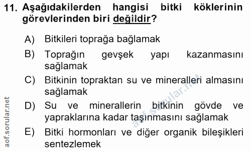 11. soru: Aşağıdakilerden hangisi bitki köklerinin görevlerinden biri değildir? A) Bitkileri toprağa bağlamak B) Toprağın gevşe…