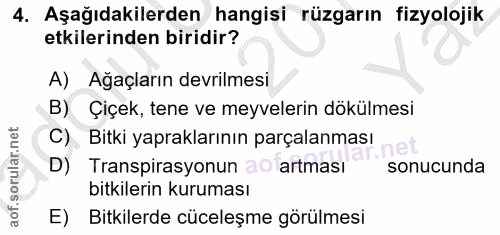 4. soru: Aşağıdakilerden hangisi rüzgarın fizyolojik etkilerinden biridir? A) Ağaçların devrilmesi B) Çiçek, tene ve meyveleri…