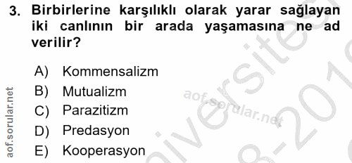 3. soru: Birbirlerine karşılıklı olarak yarar sağlayan iki canlının bir arada yaşamasına ne ad verilir? A) Kommensalizm B) Mut…