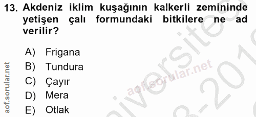 13. soru: Akdeniz iklim kuşağının kalkerli zemininde yetişen çalı formundaki bitkilere ne ad verilir? A) Frigana B) Tundura agi…