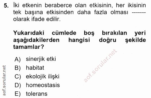 5. soru: İki etkenin beraberce olan etkisinin, her ikısınin tek başına etkisinden daha fazla olması — olarak ifade edilir. Yuk…