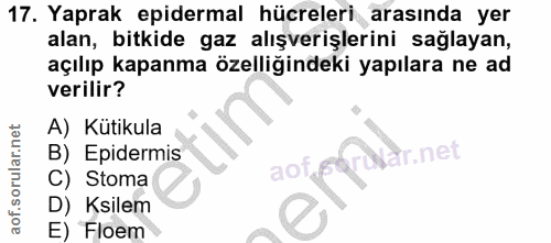 17. soru: Yaprak epidermal hücreleri arasında yer alan, bitkide gaz alışverişlerini sağlayan, açılıp kapanma özelliğindeki yapı…