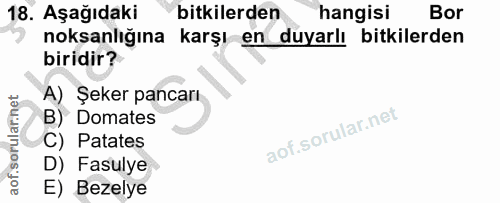 18. soru: Aşağıdaki bitkilerden hangisi Bor noksanlığına karşı en duyarlı bitkilerden biridir? A) Şeker pancarı B) Domates C) P…