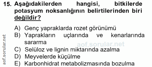 15. soru: Aşağıdakilerden hangisi, bitkilerde potasyum noksanlığının belirtilerinden biri değildir? A) Genç yapraklarda rozet g…