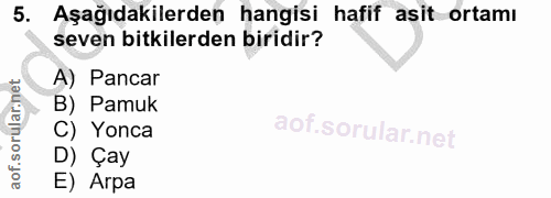 5. soru: Aşağıdakilerden hangisi hafif asit ortamı seven bitkilerden biridir? A) Pancar B) Pamuk C) Yonca D) Çay E) Arpa