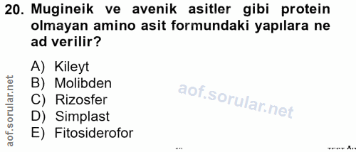 20. soru: Mugineik ve avenik asitler gibi protein olmayan amino asit formundaki yapılara ne ad verilir? A) Kileyt B) Molibden C…