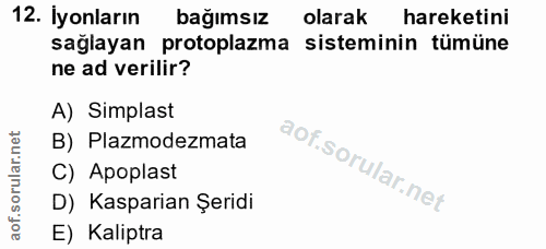 12. soru: Iyonların bağımsız olarak hareketini sağlayan protoplazma sisteminin tümüne ne ad verilir? A) Simplast B) Plazmodezma…
