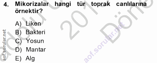 4. soru: Mikorizalar hangi tür toprak canlılarına örnektir? A) Liken B) Bakteri C) Yosun aof.sorular.r D) Mantar E) Alg