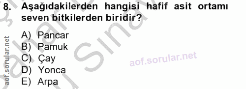 8. soru: Aşağıdakilerden hangisi hafif asit ortamı seven bitkilerden biridir? A) Pancar B) Pamuk C) Çay D) Yonca E) Arpa
