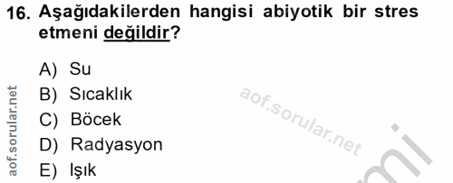 16. soru: Aşağıdakilerden hangisi abiyotik bir stres etmeni değildir? A) Su B) Sıcaklık C) Böcek D) Radyasyon E) Işık
