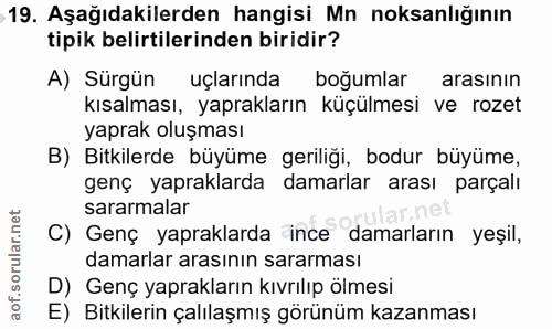 19. soru: Aşağıdakilerden hangisi Mn noksanlığının tipik belirtilerinden biridir? A) Surgün uçlarında boğumlar arasının kısalma…