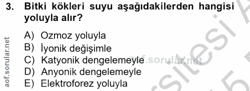 3. soru: Bitki kökleri suyu aşağıdakilerden hangisi yoluyla alır? A) Ozmoz yoluyla B) İyonik değişimle C) Katyonik dengelemeyl…
