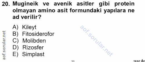 20. soru: Mugineik ve avenik asitler gibi protein olmayan amino asit formundaki yapılara ne ad verilir? A) Kileyt B) Fitosidero…