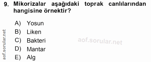 9. soru: Mikorizalar aşağıdaki toprak canlılarından hangisine örnektir? A) Yosun B) Liken ar C) Bakteri rul D) Mantar aof. E) Alg
