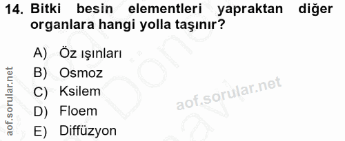 14. soru: Bitki besin elementleri yapraktan diğer organlara hangi yolla taşınır? A) Öz ışınları B) Osmoz C) Ksilem D) Floem E)…