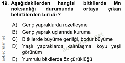19. soru: Aşağıdakilerden hangisi bitkilerde Mn noksanliğı durumunda ortaya çıkan belirtilerden biridir? A) Genç yapraklarda ro…