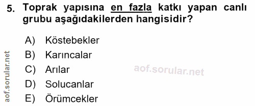 5. soru: Toprak yapısına en fazla katkı yapan canlı grubu aşağıdakilerden hangisidir? A) Köstebekler B) Karıncalar C) Arılar D…