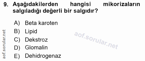 9. soru: Aşağıdakilerden hangisi mikorizaların salgıladığı değerli bir salgıdır? A) Beta karoten rular.net B) Lipid C) Dekstro…