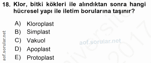 18. soru: Klor, bitki kökleri ile alındıktan sonra hangi hücresel yapı ile iletim borularına taşınır? A) Kloroplast B) Simplast…
