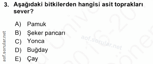 3. soru: Aşağıdaki bitkilerden hangisi asit toprakları sever? A) Pamuk B) Şeker pancarı C) Yonca D) Bugday E) Çay