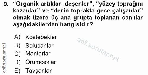 9. soru: "Organik artıkları deşenler", "yüzey toprağını kazanlar" ve "derin toprakta gece çalışanlar" olmak üzere üç ana grupt…
