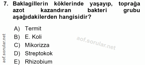 7. soru: Baklagillerin köklerinde yaşayıp, topraga azot kazandıran bakteri grubu aşağıdakilerden hangisidir? A) Termit orular.…