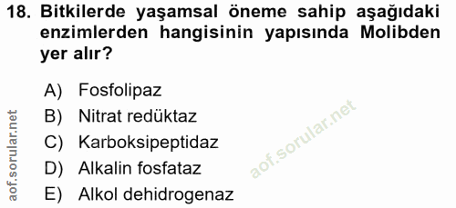 18. soru: Bitkilerde yaşamsal öneme sahip aşağıdaki enzimlerden hangisinin yapısında Molibden yer alır? A) Fosfolipaz B) Nitrat…