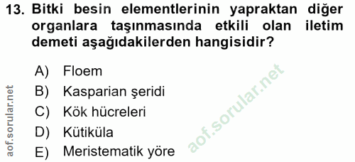 13. soru: Bitki besin elementlerinin yapraktan diğer organlara taşınmasında etkili olan iletim demeti aşağıdakilerden hangisidi…