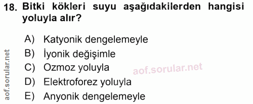 18. soru: Bitki kökleri suyu aşağıdakilerden hangisi yoluyla alır? A) Katyonik dengelemeyle B) İyonik değişimle C) Ozmoz yoluyl…