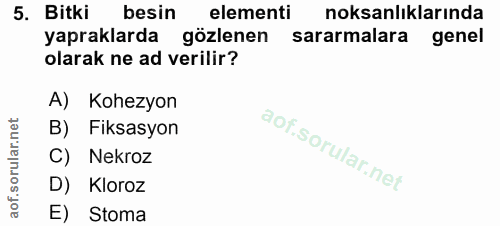 5. soru: Bitki besin elementi noksanlıklarında yapraklarda gözlenen sararmalara genel olarak ne ad verilir? A) Kohezyon B) Fik…